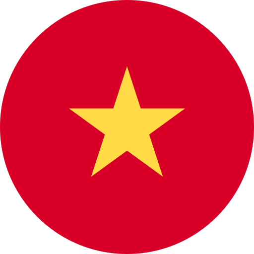 vn-icon